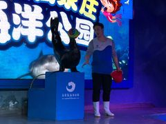 -石家庄海洋公园