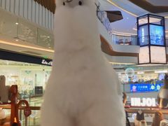 -IPSTAR|潮玩星球(天府广场店)