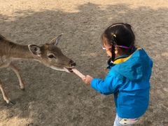 -北京麋鹿生态实验中心