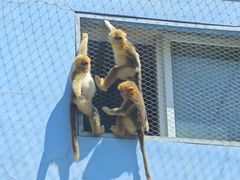 -大连森林动物园