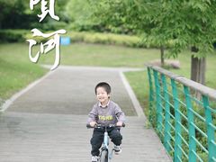 -尚贤河湿地