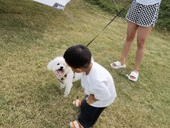 -前小桔亲子创意农场·草莓采摘·露营烧烤