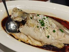 -渝乡老妈·北京烤鸭(六里桥店)