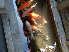 -唔呶喔哩酒家(生产街店)