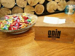 -ODIN 奥丁形象设计 