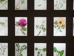 -南京中医药大学(仙林校区)