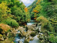 -四明山国家森林公园