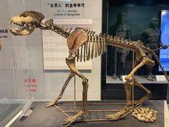 -周口店北京人遗址公园