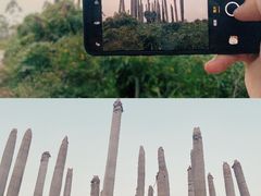 -光明小镇欢乐田园