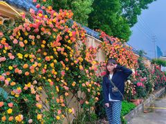 -园中院•常州菜
