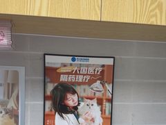 -芭比堂动物医院·心脏科·老年急重症·夜诊·吉雅分院