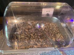 -问渔烤鱼(回龙观总店)