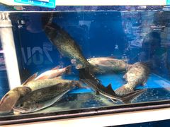 -鑫海韵通大卖场(石园店)