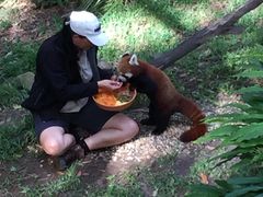 -可伦宾野生动物保护区