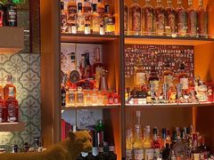 -酒池星座(深圳湾后海汇店)