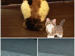 -猫岛主趣味餐厅(鼓浪屿店)