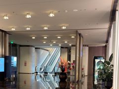 -深圳国际会展中心希尔顿酒店(前海华发冰雪世界店)