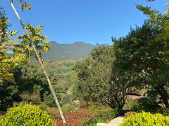 -逸廊大堂吧-下午茶·简餐-千岛湖自由洲际殿