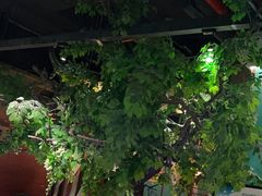 -佬麻雀·剁椒鱼头(京基KK One店)