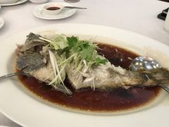 清蒸石斑鱼-Century Seafood Restaurant Manila