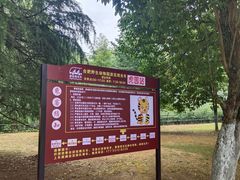 -合肥野生动物园