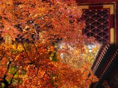 -香山公园