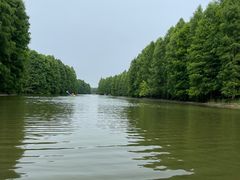 -上海海湾国家森林公园