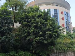 -朱毅育龙游泳俱乐部