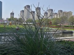 -新城控股新总部大楼