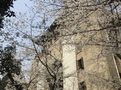 -武汉大学-樱园