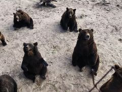 -北极村旅游风景区