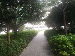 -北外滩百艇汇游艇俱乐部