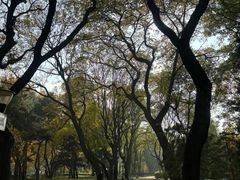 -玲珑塔公园