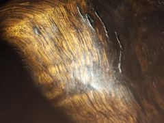 -乐山乌木文化博览苑