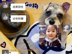 -立德动物医院·重症转诊·24H夜诊·CT·心脏彩超(顺德中心分院)