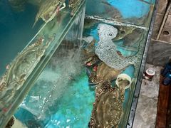 -72号海鲜私房菜