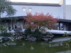 -秋霞圃
