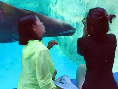 -秦皇岛乐岛海洋王国