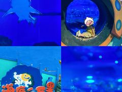 -海合安武汉极地海洋公园