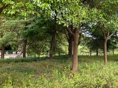 -狼山风景名胜区