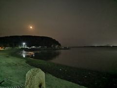 -烟墩角天鹅湖