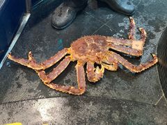 -海港酒家(始创中心店)