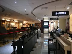 -知音艺术教育培训·钢琴培训·音乐培训(河西金鹰世界校区)