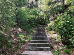 -白玉山景区