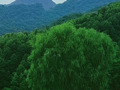 -玉渡山自然风景区