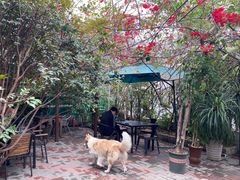 -豆舞咖啡(民乐路店)