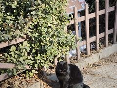 -沕沕水生态风景区