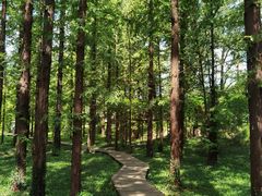 -国家植物园南园