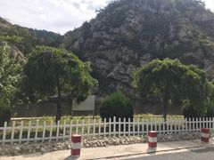 -金龙寺国家森林公园