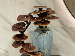 餐具摆设-茗鼎汇(星方汇广场店)
